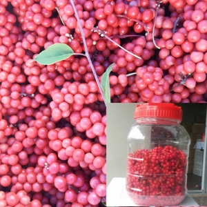 농업회사법인 향로봉오미자주식회사,[주연네오미자] 오미자당절임(설탕포함무게) 10kg, 20kg